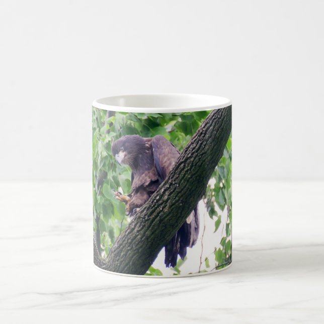 Juvenile Bald Eagle Coffee Mug (Center)