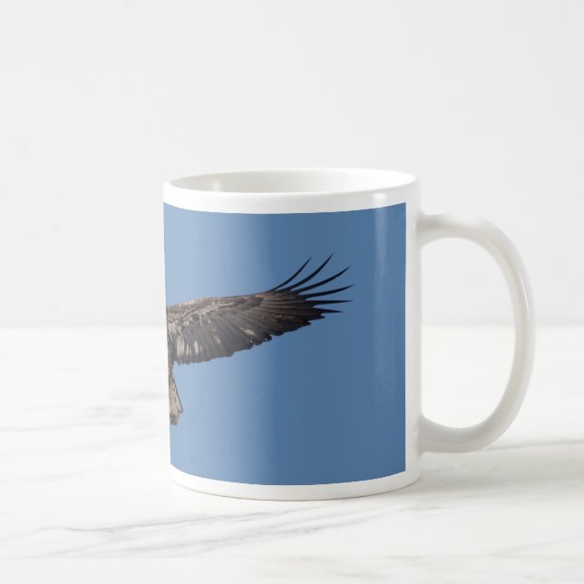 Juvenile Bald Eagle in flight Coffee Mug (Right)