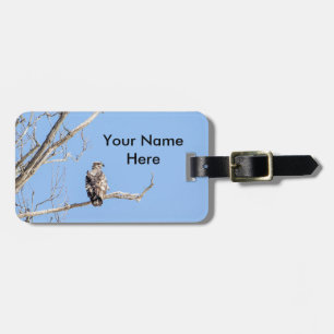 Juvenile Bald Eagle Luggage Tag