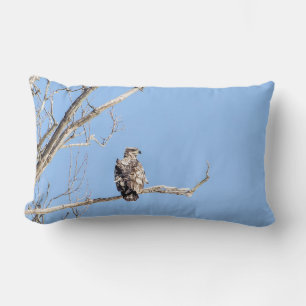 Juvenile Bald Eagle Lumbar Cushion