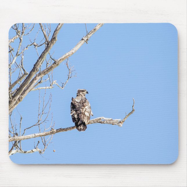 Juvenile Bald Eagle Mouse Pad (Front)