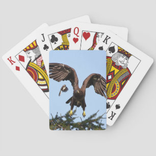 Juvenile Bald Eagle taking off Playing Cards