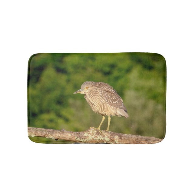 Juvenile Black Crowned Night Heron Bath Mat (Front)