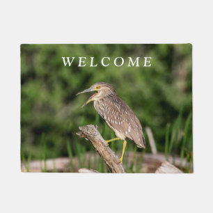 Juvenile Black Crowned Night Heron Doormat