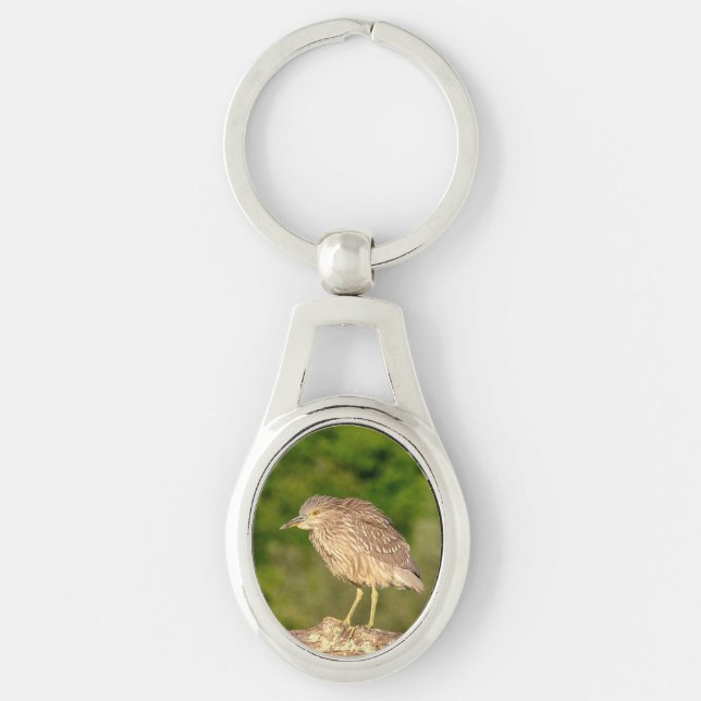 Juvenile Black Crowned Night Heron Key Ring (Front)