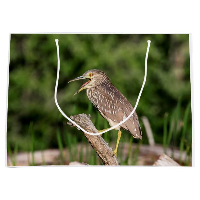 Juvenile Black Crowned Night Heron Large Gift Bag (Front)
