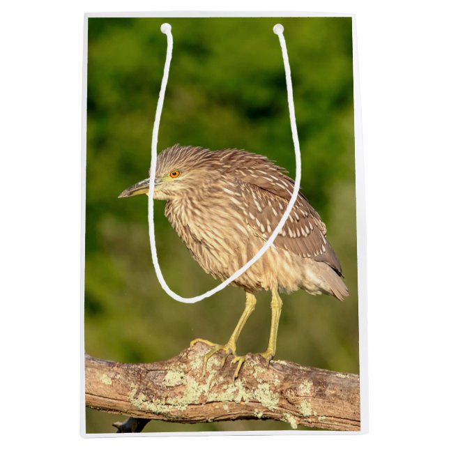 Juvenile Black Crowned Night Heron Medium Gift Bag (Front)