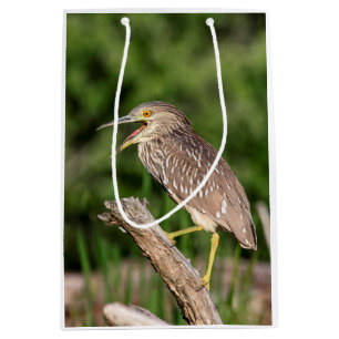 Juvenile Black Crowned Night Heron Medium Gift Bag