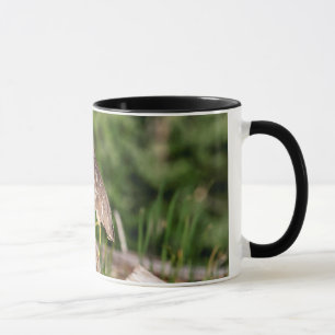 Juvenile Black Crowned Night Heron Mug