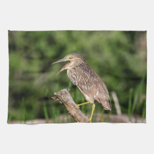 Juvenile Black Crowned Night Heron Tea Towel
