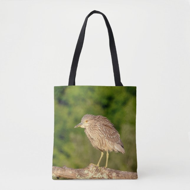 Juvenile Black Crowned Night Heron Tote Bag (Front)