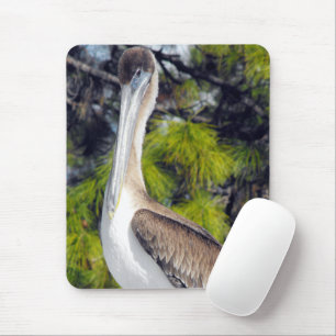 Juvenile Brown Pelican Mouse Pad