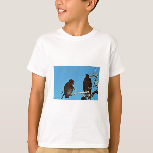 Juvenile Condors T-Shirt (Front)