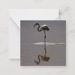 Juvenile Flamingo In Grey With Reflection Card
