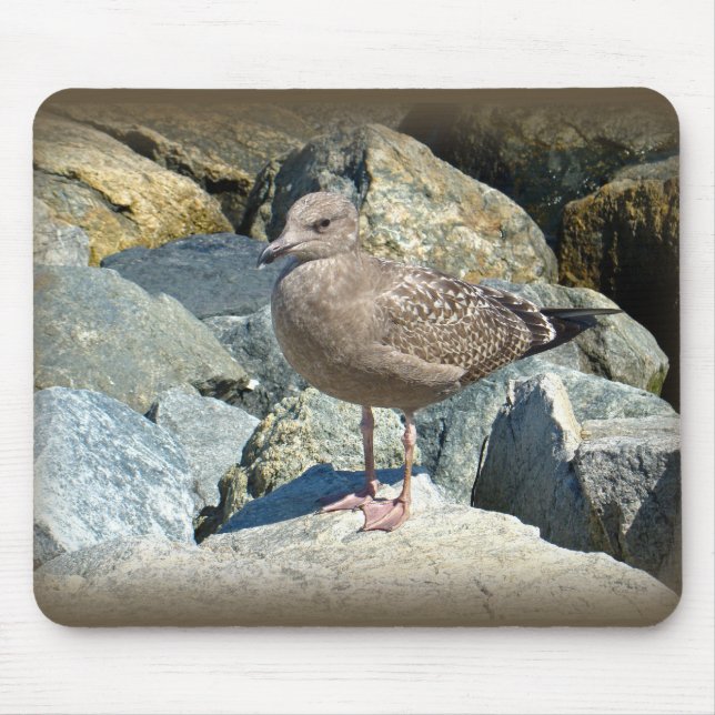 Juvenile Great Black-Backed Gull Mouse Pad (Front)