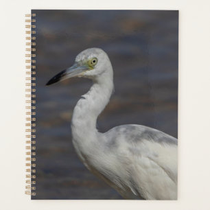 Juvenile Heron 2024 Planner
