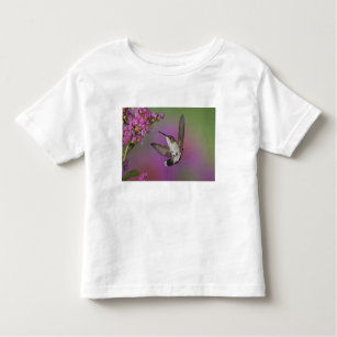 Juvenile male Ruby Throated Hummingbird in Toddler T-Shirt
