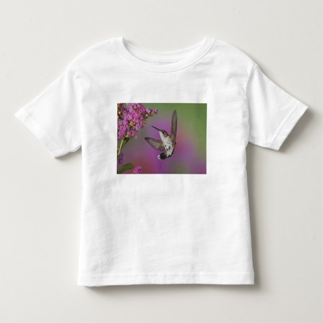 Juvenile male Ruby Throated Hummingbird Toddler T-Shirt (Front)