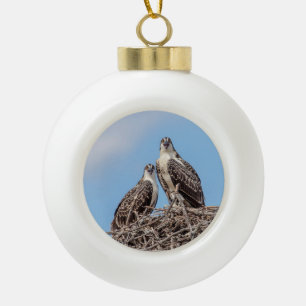 Juvenile Osprey in the nest Ceramic Ball Christmas Ornament