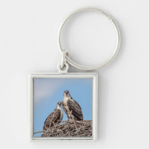 Juvenile Osprey in the nest Key Ring
