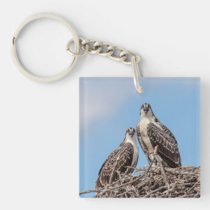 Juvenile Osprey in the nest Key Ring