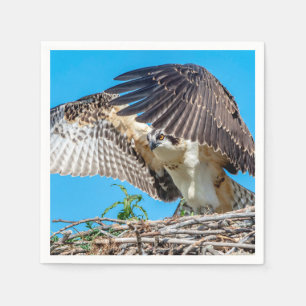 Juvenile Osprey in the nest Napkin
