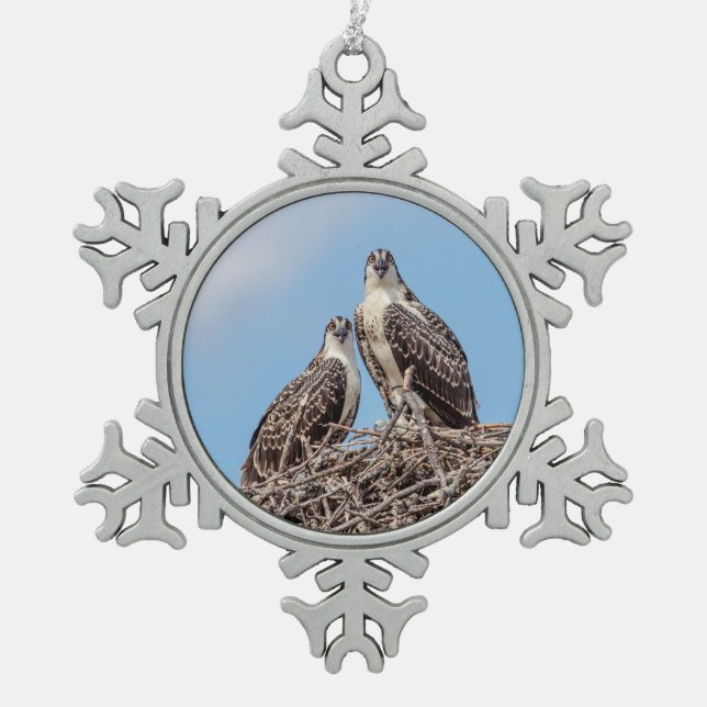 Juvenile Osprey in the nest Snowflake Pewter Christmas Ornament (Front)