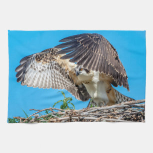 Juvenile Osprey in the nest Tea Towel