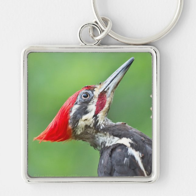Juvenile Pileated Woodpecker Profile Gifts Apparel Key Ring (Front)