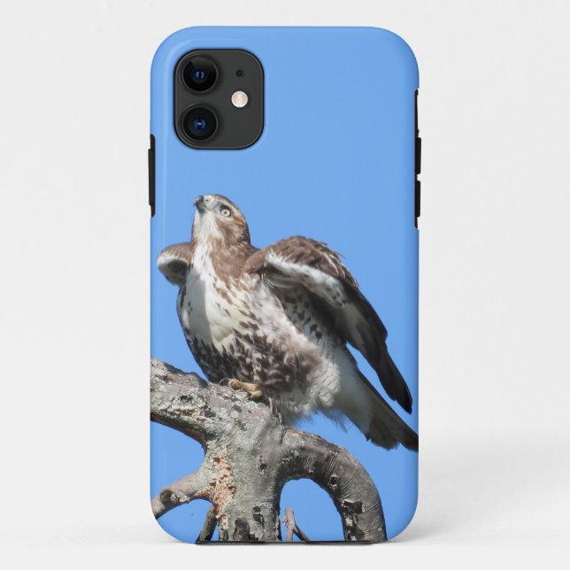 Juvenile Red Tail Hawk Case-Mate iPhone Case (Back)