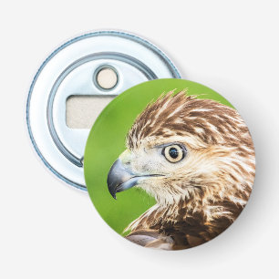 Juvenile Red Tailed Hawk Bottle Opener