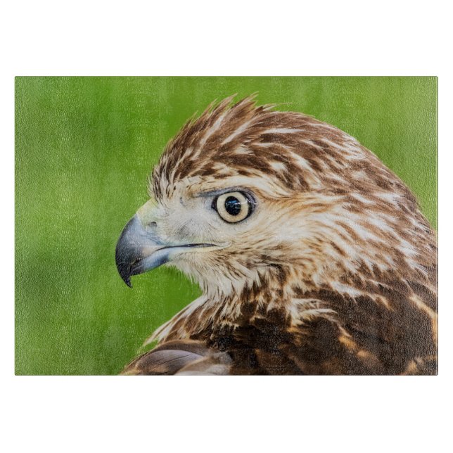 Juvenile Red Tailed Hawk Cutting Board (Front)