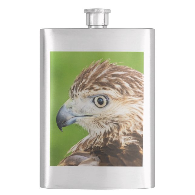 Juvenile Red Tailed Hawk Hip Flask (Front)