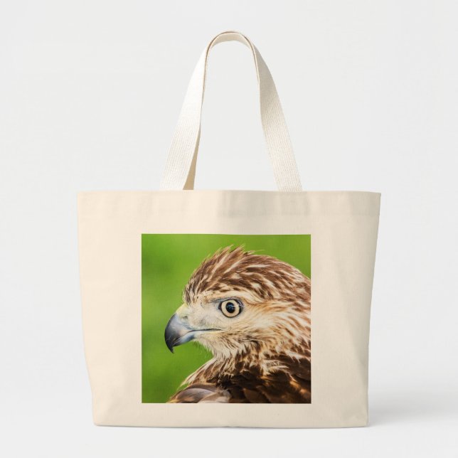 Juvenile Red Tailed Hawk Large Tote Bag (Front)