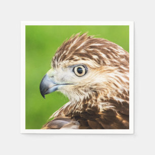 Juvenile Red Tailed Hawk Napkin
