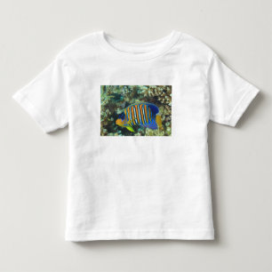 Juvenile Regal Angelfish Pygoplites Toddler T-Shirt
