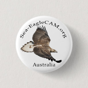 Juvenile S3 in flight Button