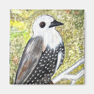 Juvenile Startling Magnet