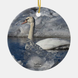 Juvenile Swan in Icey River Ceramic Ornament