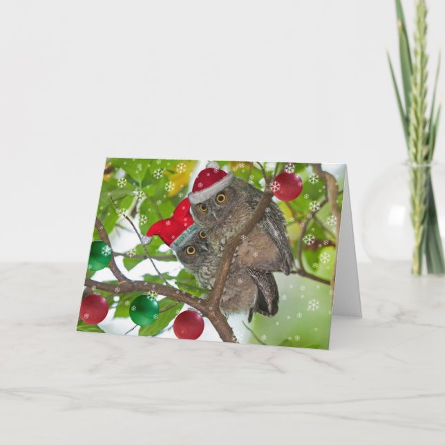 Juvenile Western Screech Owls Christmas Holiday Card (Front)