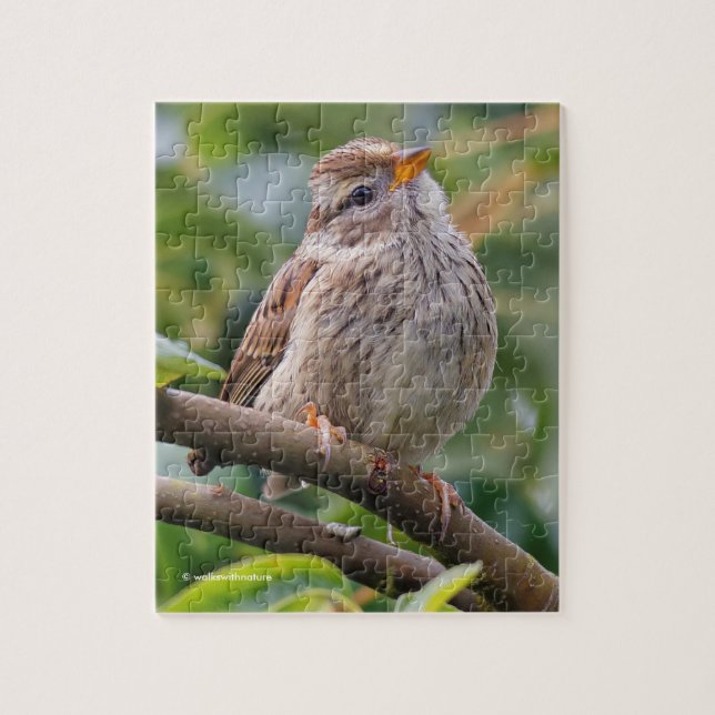 Juvenile White-Crowned Sparrow Jigsaw Puzzle (Vertical)