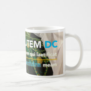 Juventutem DC mug