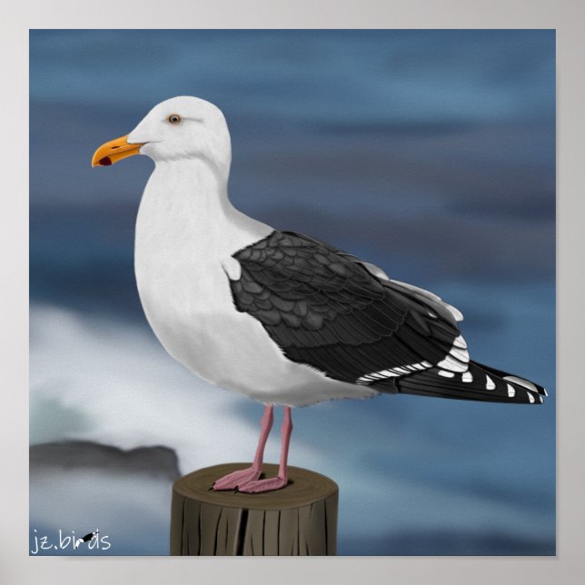 jz.birds Möwe Poster (Front)