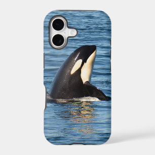 K27 Orca Spyhop iPhone 5/5S Case