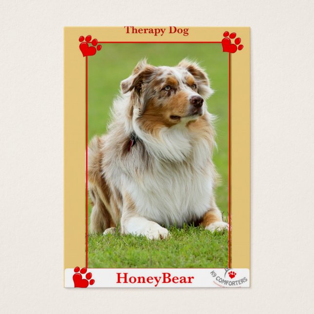 K9 comforters therapy dog (Front)