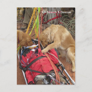 K9 Search & Rescue? Postcard