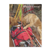 K9 Search & Rescue?