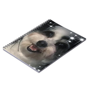 K-Cee Stars Notebook
