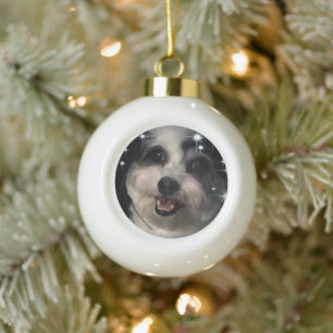 K-Cee Stars Zuchon Dog Ceramic Ball Christmas Ornament