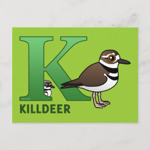 K is for Killdeer Postcard